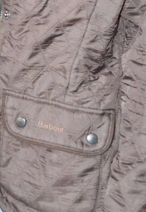 garment image