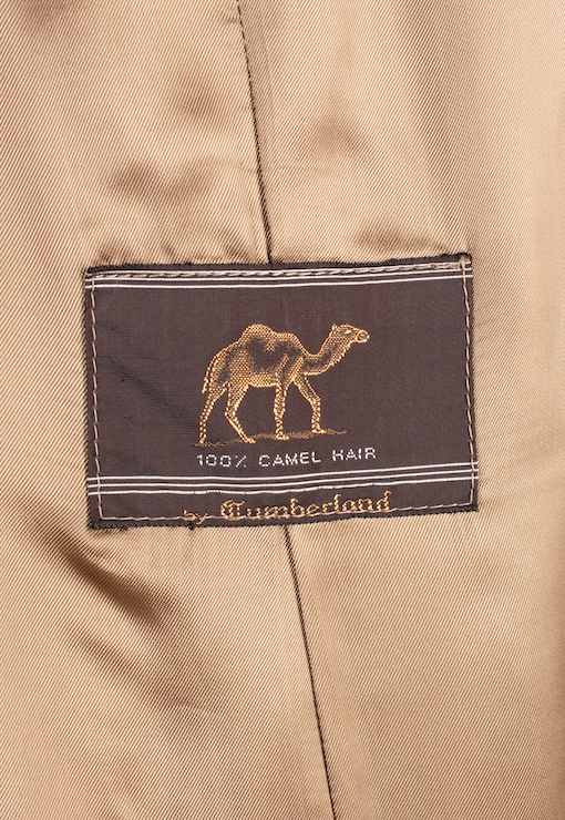 garment image