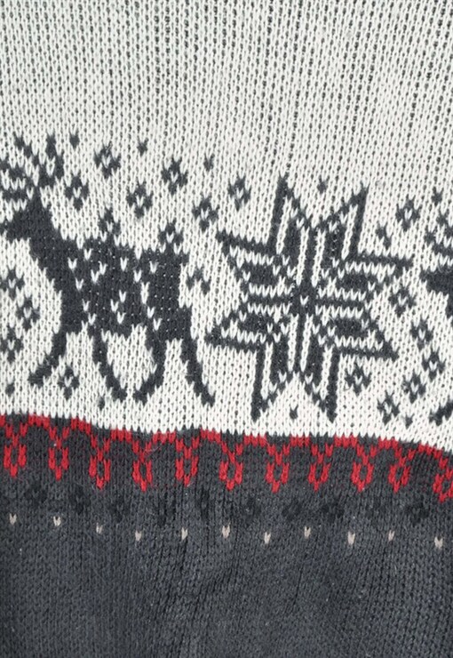 garment image
