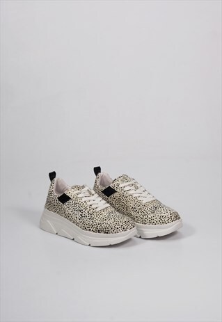 MINIA DOTS