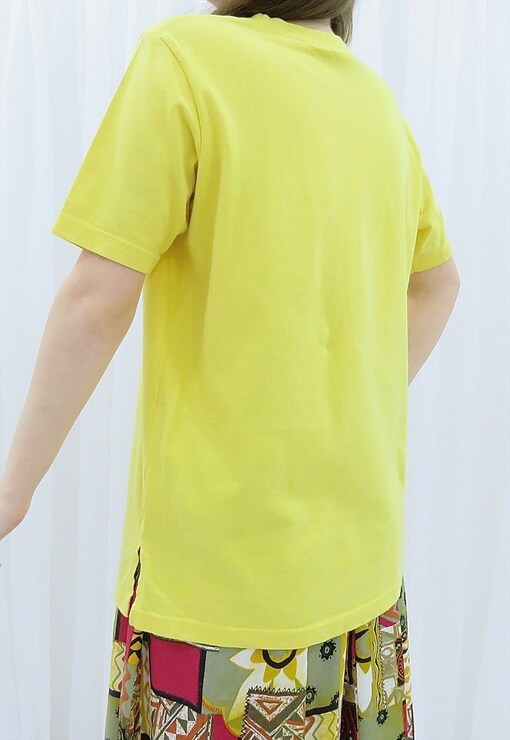 garment image