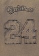 BASKETBALL T-SHIRT NUMBER PATCH TEE GRUNGE TOP VINTAGE BROWN