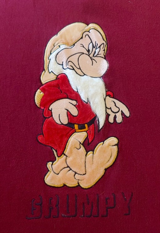 garment image