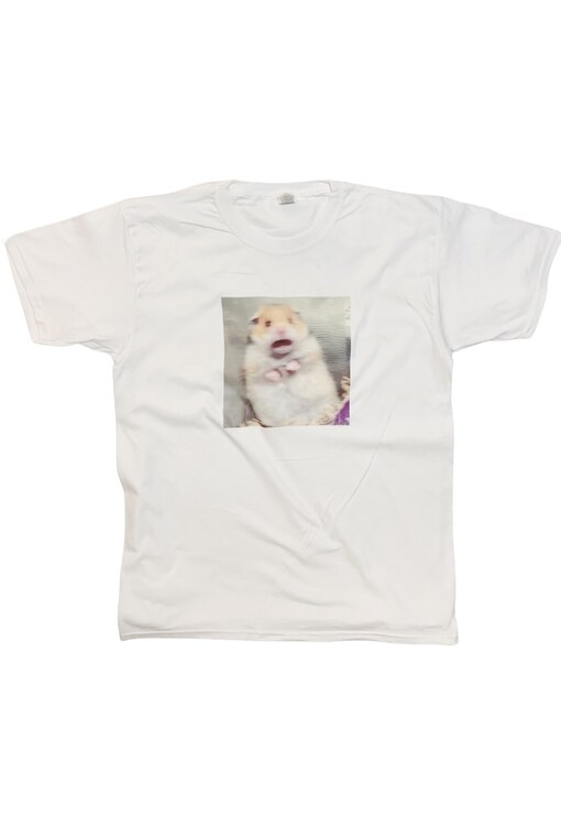 garment image