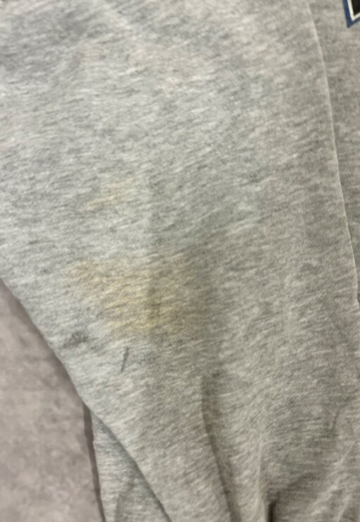garment image