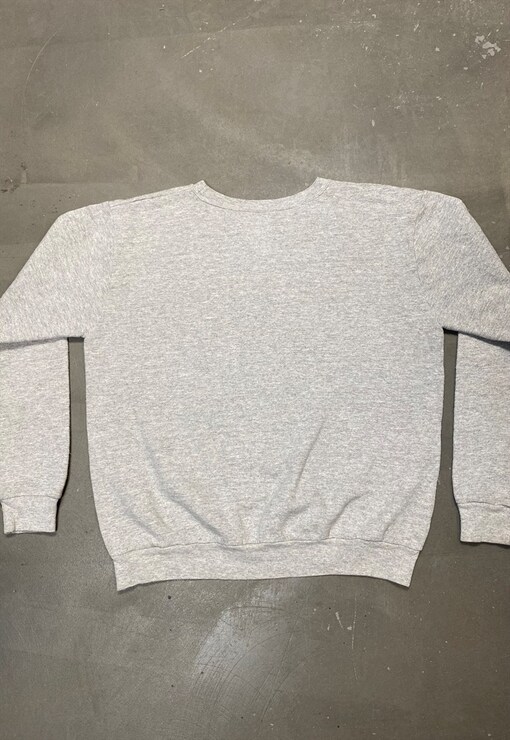 garment image