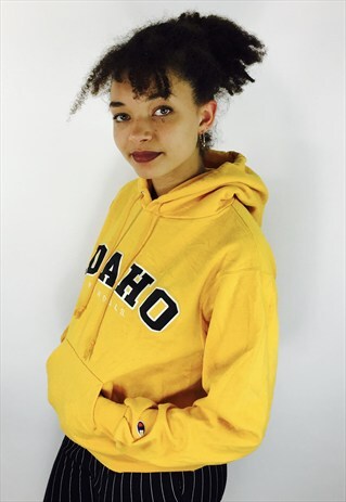 CHAMPION USA HOODIE