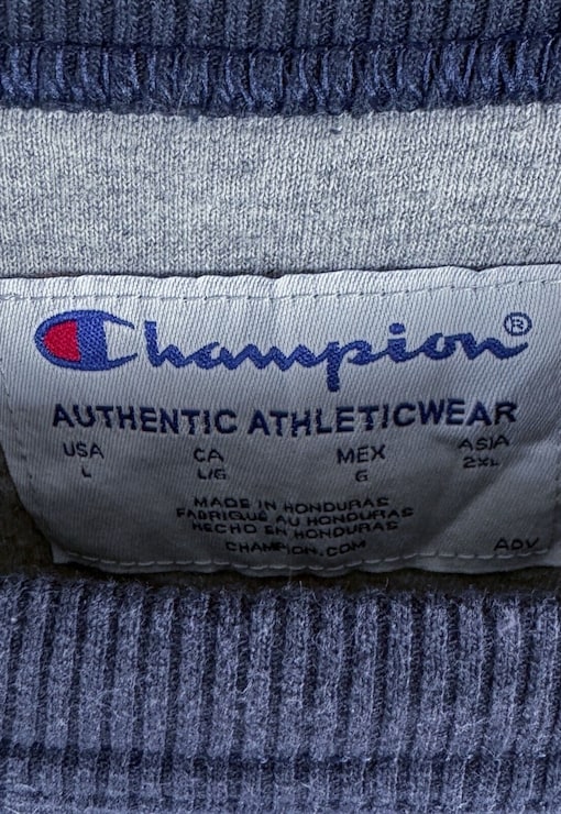 garment image