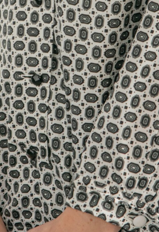 garment image