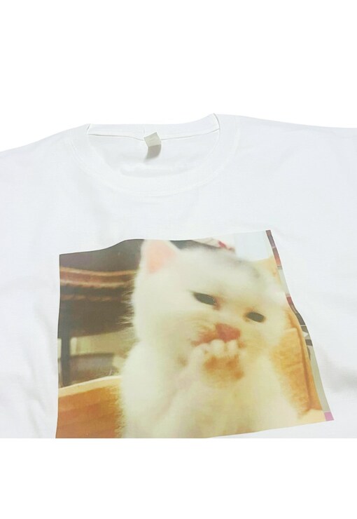garment image