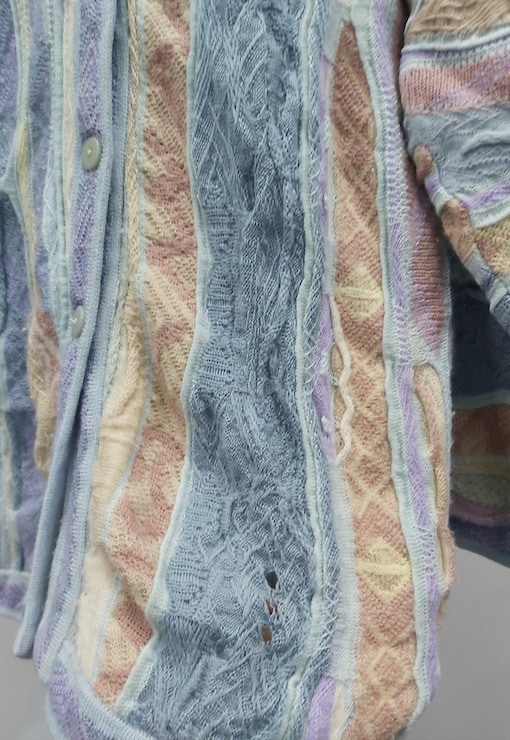 garment image