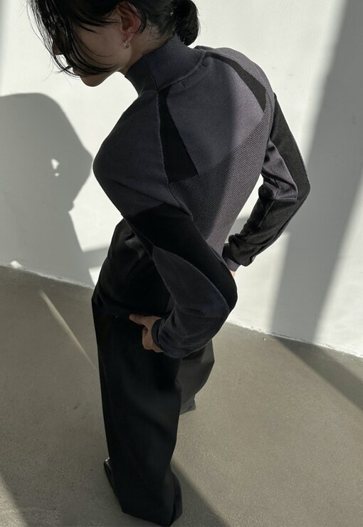 garment image
