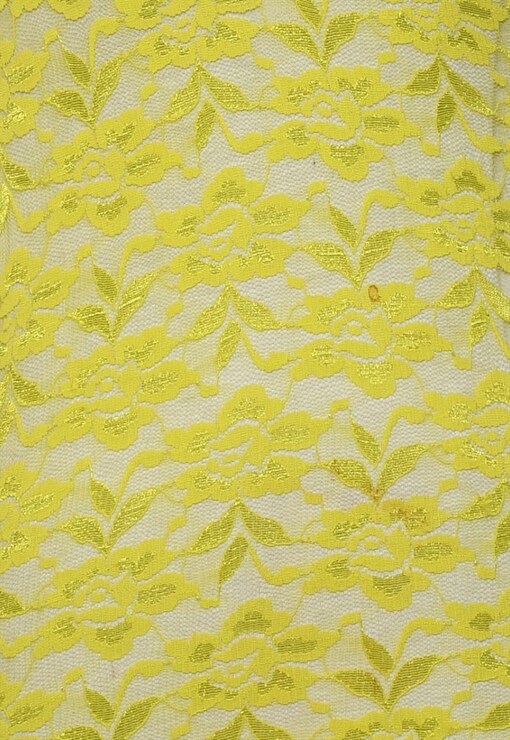 garment image