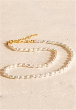 Gold Beaded Choker Necklace with Tiny Baroque Pearls