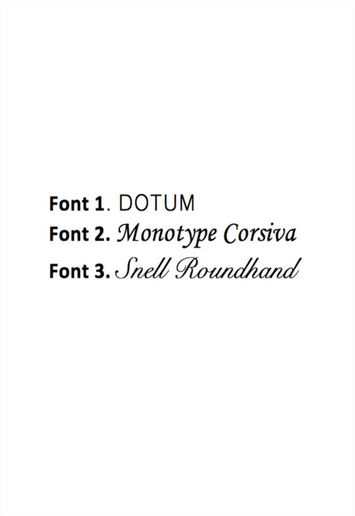 garment image