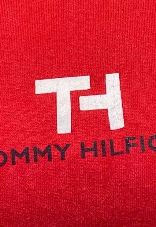 garment image