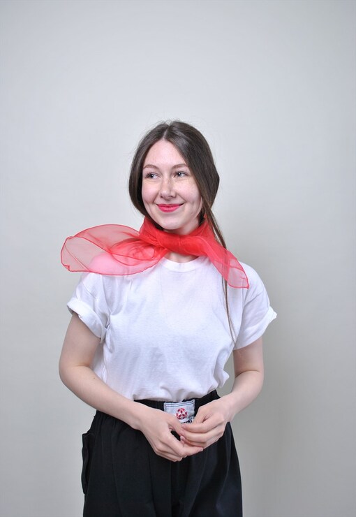 garment image
