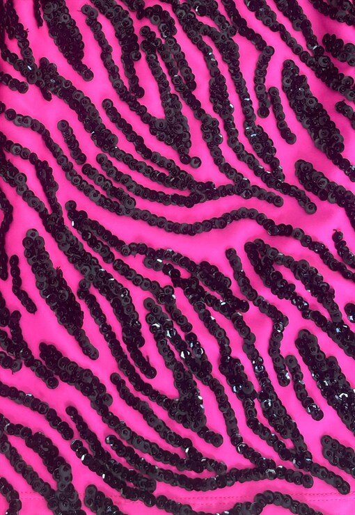 garment image