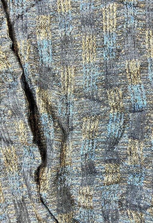 garment image