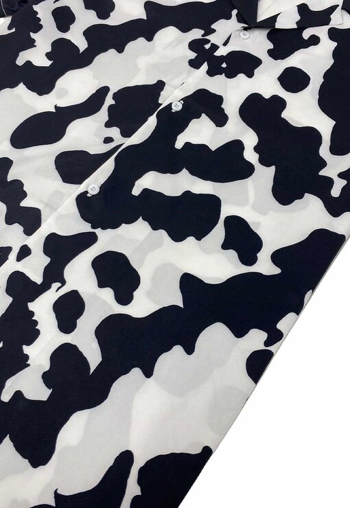 garment image