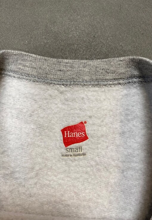 garment image