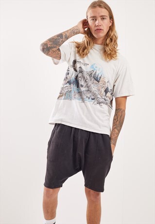 VINTAGE GROVELAND CALIFORNIA GRAPHIC T-SHIRT