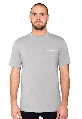 SMALL LOGO T-SHIRT - PLATINUM GREY