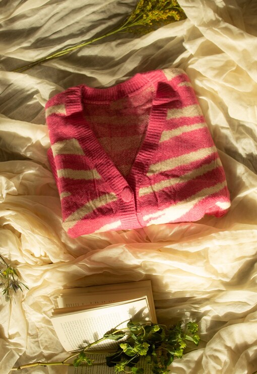 garment image