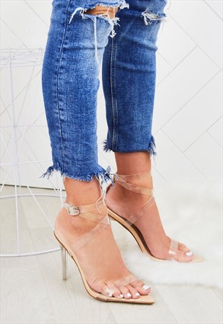 CORA NUDE POINTED PERSPEX HEELS