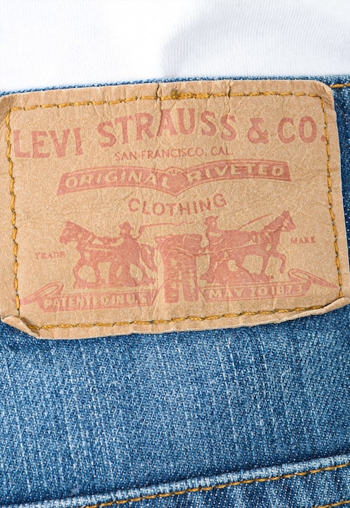 garment image