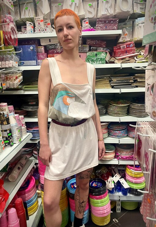 garment image