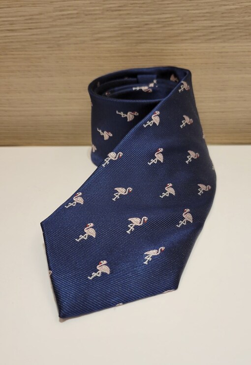 garment image