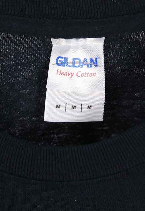garment image