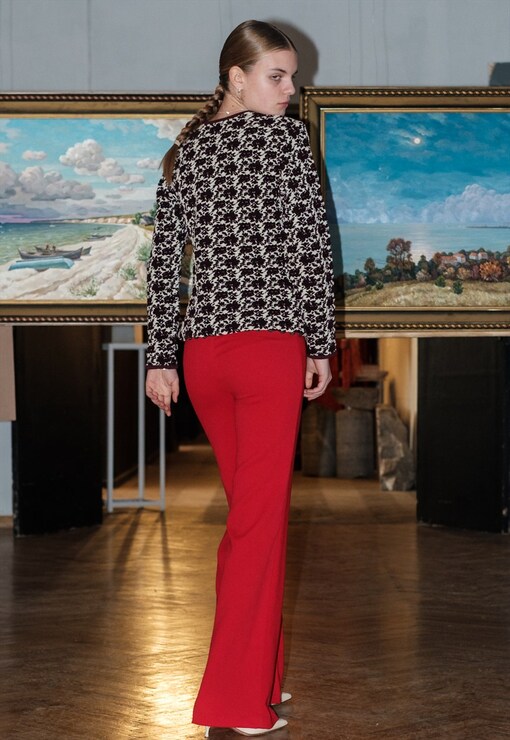 garment image