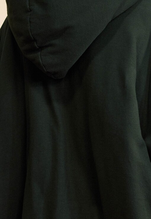 garment image