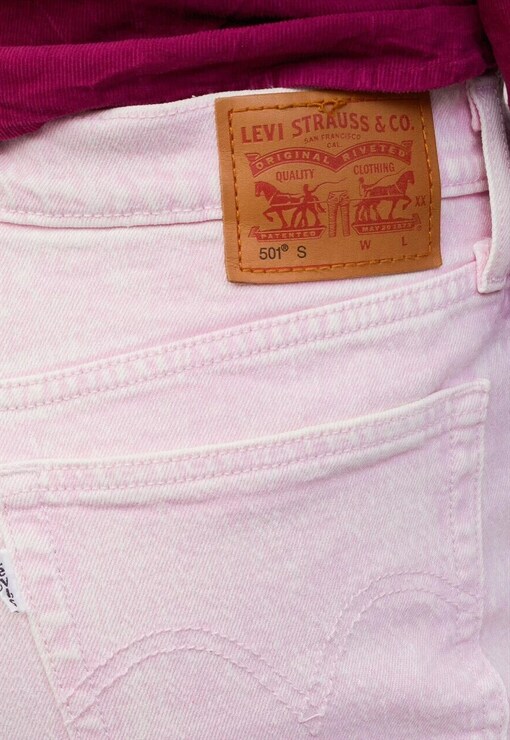 garment image