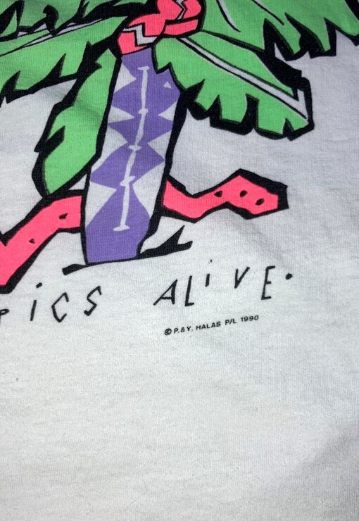 garment image
