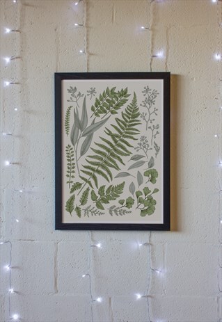 BOTANICAL PRINT A2