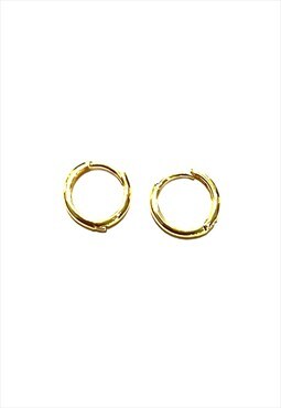 Gold Small Stainless steel hoop earrings