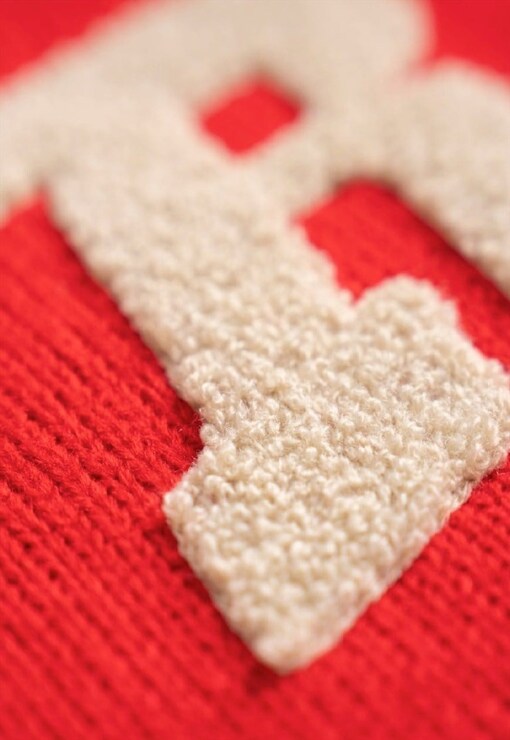 garment image