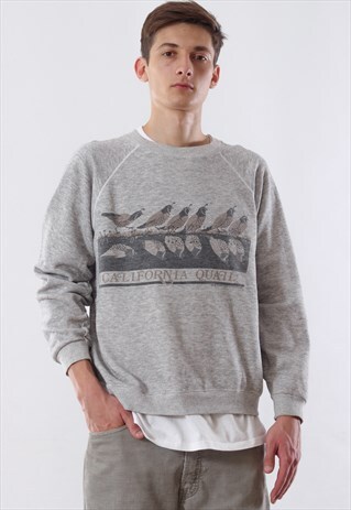 VINTAGE 1995 CALIFORNIA GRAPHIC CREW NECK 90S GREY