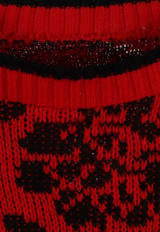 garment image