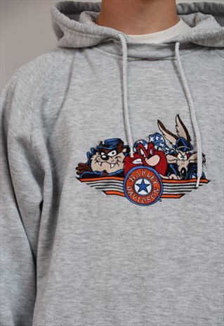 RARE HARLEY DAVIDSON WARNER BROS LOGO HOODIE SWEATSHIRT