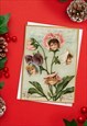 VICTORIAN CHRISTMAS XMAS GREETING CARDS 10 PACK WEIRD FUNNY