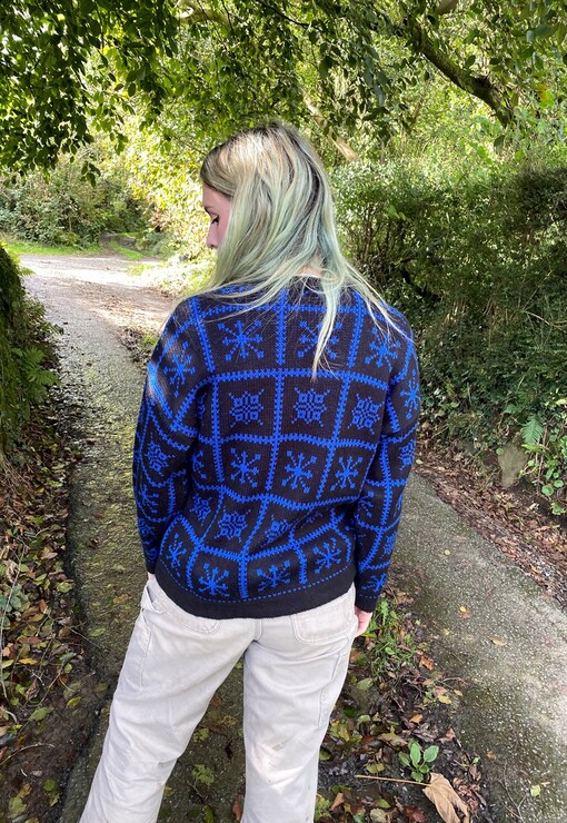 garment image