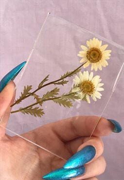 Rectangular Flat Crystal with Real Pressed Daisies