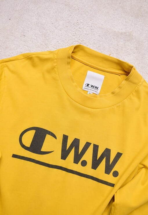 garment image