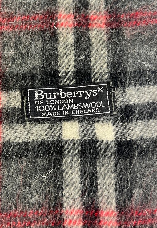 garment image