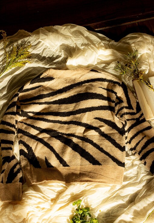 garment image