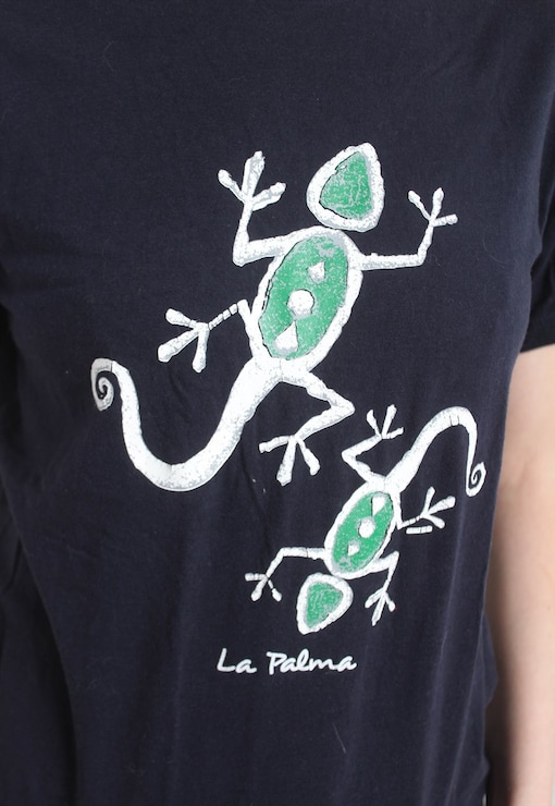 garment image